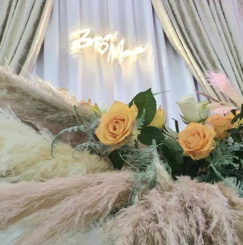 315380685_495295949289524_4410600193612661695_n