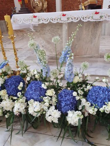 315418448_495185859300533_5895831048168065512_n