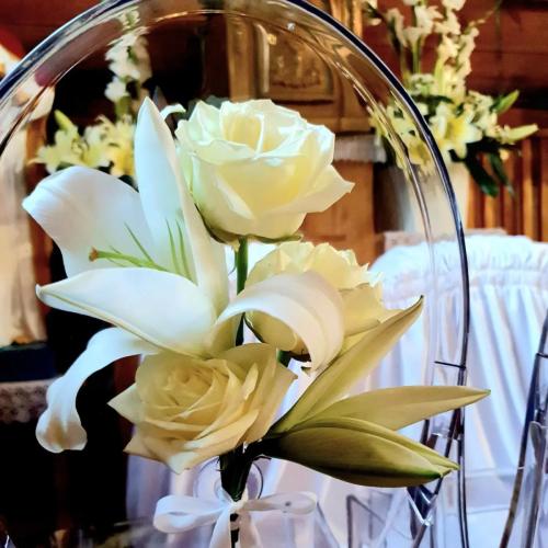 315513803_495185732633879_6178394048593125519_n