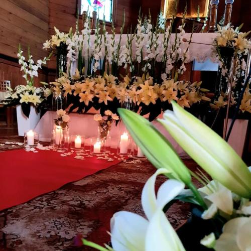 315745099_495185682633884_3575195810397754374_n