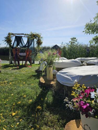 365300169_672405458245238_5208807501905182782_n