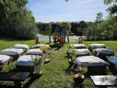 367743272_672405494911901_8271310748655993757_n